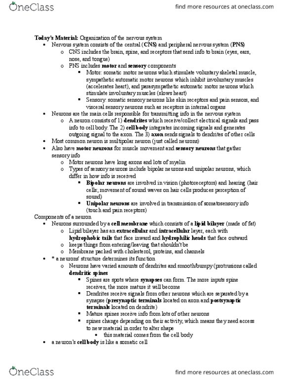 PSYC 106 Lecture Notes - Lecture 2: Microtubule, Area Postrema, Dynactin thumbnail