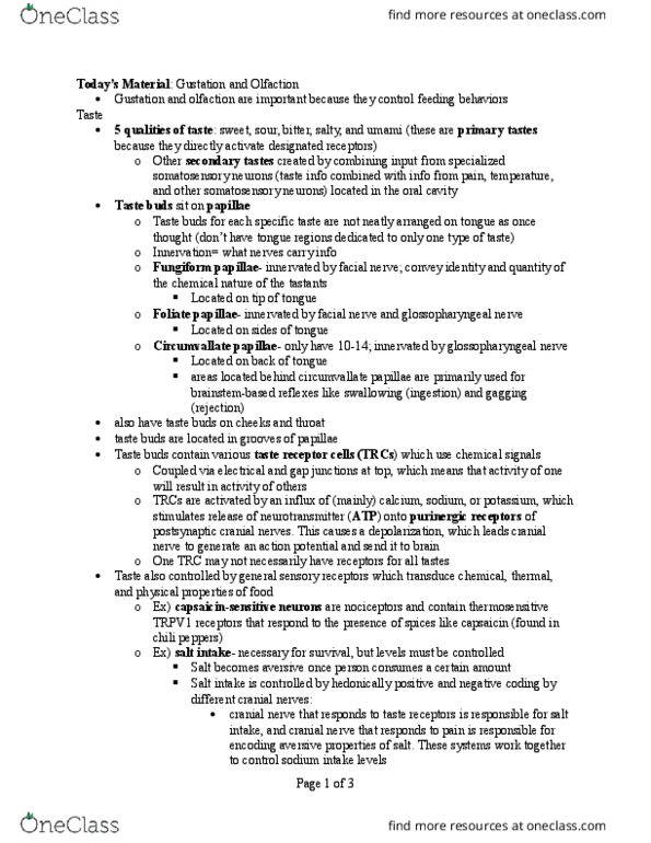 PSYC 106 Lecture Notes - Lecture 13: Nociception, Receptive Field, Solitary Tract thumbnail