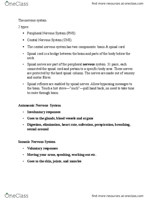 PSYC 100 Lecture Notes - Lecture 4: Purkinje Cell, Grey Matter, Resting Potential thumbnail