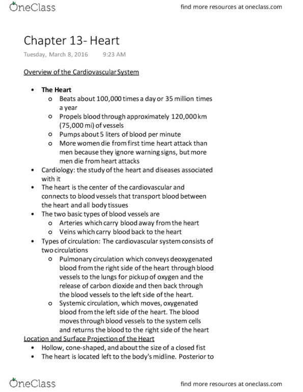 KIN 2500 Chapter Notes - Chapter 13: Posterior Interventricular Sulcus, Anterior Interventricular Sulcus, Posterior Interventricular Artery thumbnail