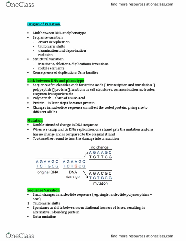 Biology 1201A Lecture Notes - Lecture 5: Chromosome, Transposase, Pyrimidine thumbnail