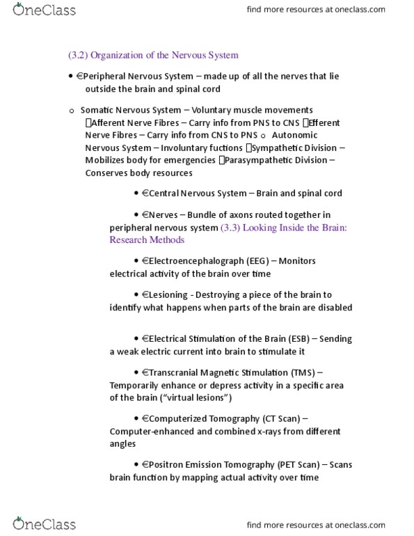 PSYC 101 Lecture Notes - Lecture 8: Amygdala, Visual Cortex, Brainstem thumbnail