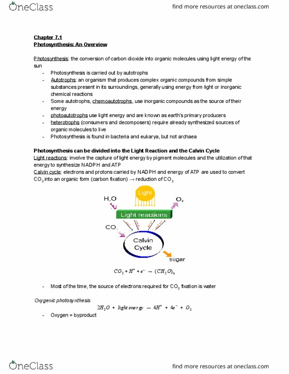BIO 1140 Chapter Notes - Chapter 7.1: Photosynthesis, Chemotroph, Heterotroph thumbnail