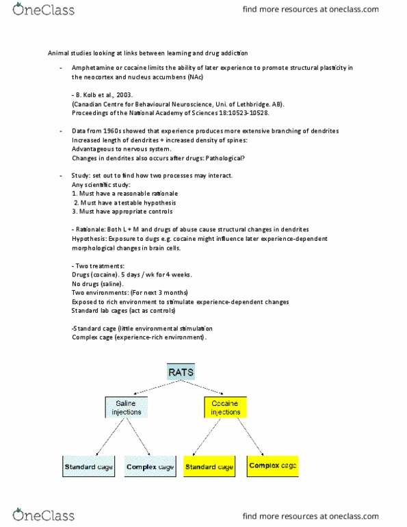 BIOL 1F25 Lecture Notes - Lecture 14: Abscissa And Ordinate, Neocortex, Nucleus Accumbens thumbnail