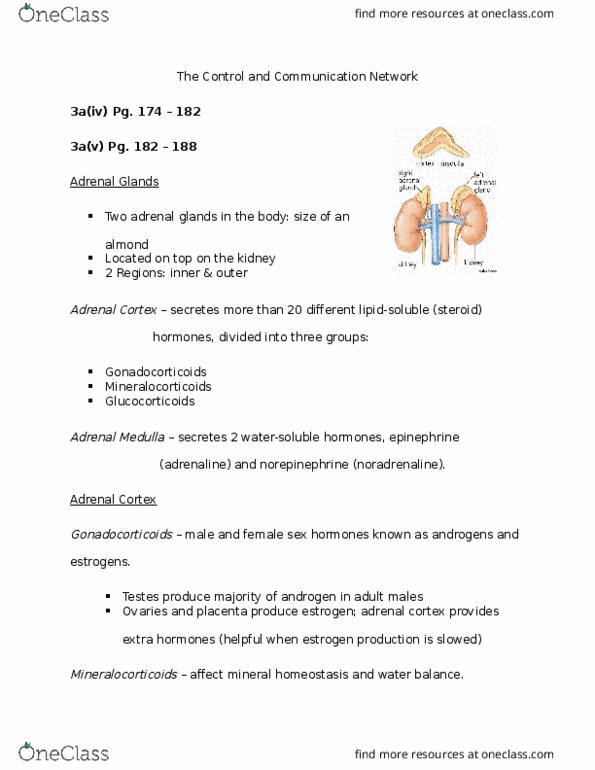 BIOL 1080 Chapter Notes - Chapter 3a(IV): Adrenal Medulla, Autoimmune Disease, Adipose Tissue thumbnail