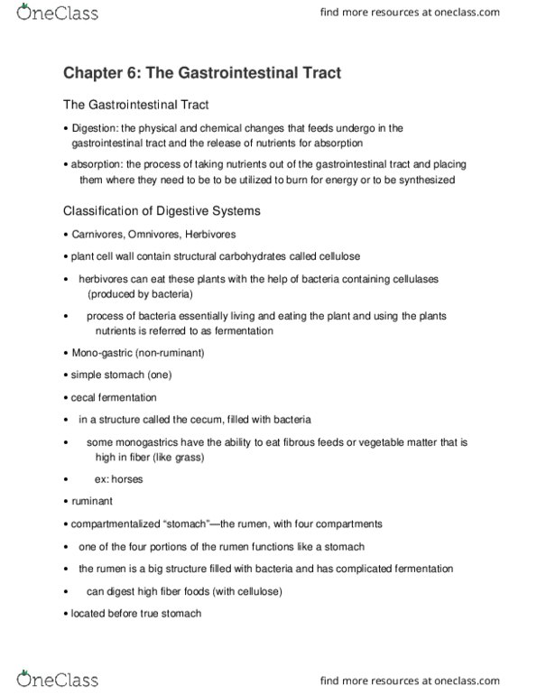 ANFS101 Lecture Notes - Lecture 16: Gastric Acid, Short-Chain Fatty Acid, Rumen thumbnail