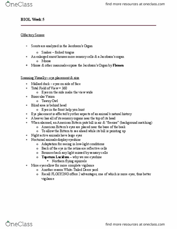 BIOL 1902 Lecture Notes - Lecture 5: Lignin, Ecdysone, Abies Balsamea thumbnail