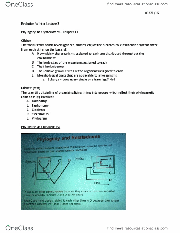 BIOL 2P05 Lecture Notes - Lecture 3: Taphonomy, Chordate, Eukaryote thumbnail