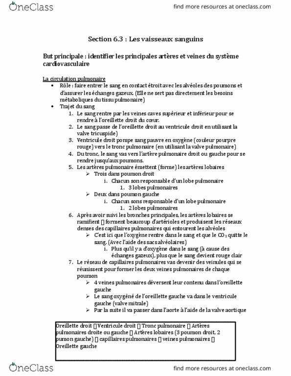 ANP 1505 Lecture Notes - Lecture 6: Le Droit, Tronc, En Passant thumbnail