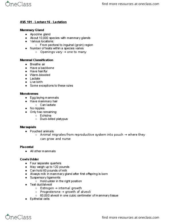 AVS 101 Lecture Notes - Lecture 16: Mammary Gland, Suspensory Ligament, Udder thumbnail