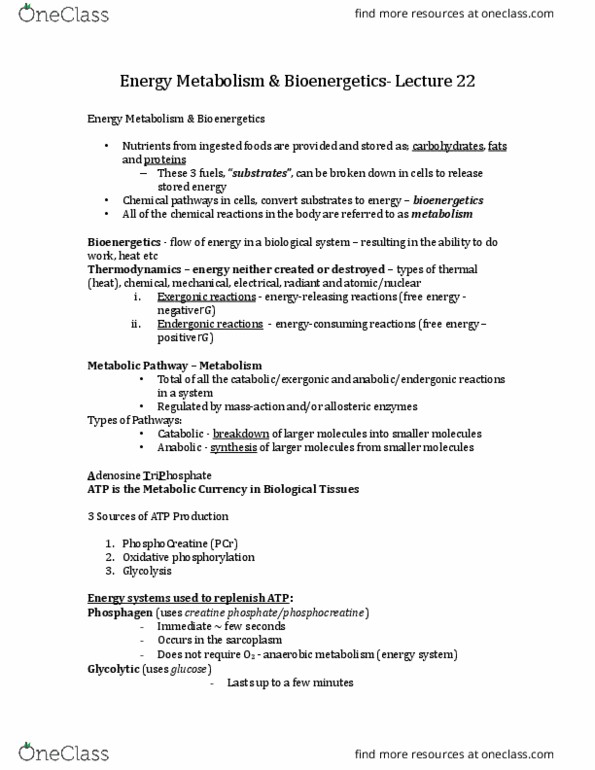 KINE 1020 Lecture Notes - Lecture 22: Oxidative Phosphorylation, Phosphagen, Endergonic Reaction thumbnail