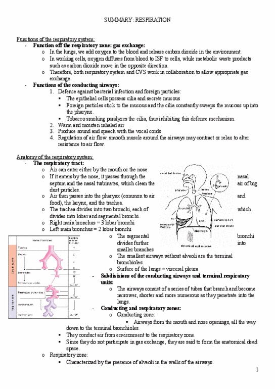 NUR1 324 Lecture : respiration.doc thumbnail