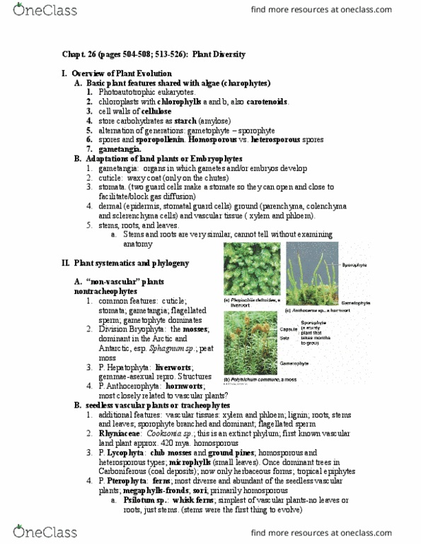 EBIO 1210 Lecture Notes - Lecture 26: Lycopodiopsida, Rhyniopsida, History Of Plant Systematics thumbnail