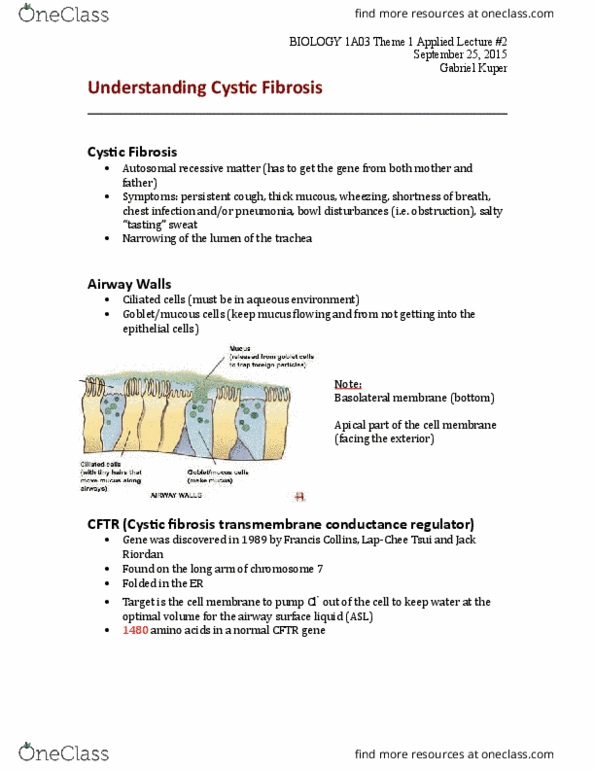 BIOLOGY 1A03 Lecture Notes - Lecture 18: Cystic Fibrosis, Francis Collins, Trachea thumbnail