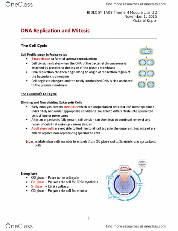 BIOLOGY 1A03 Lecture Notes - Lecture 5: Sister Chromatids, Walther Flemming, G1 Phase thumbnail