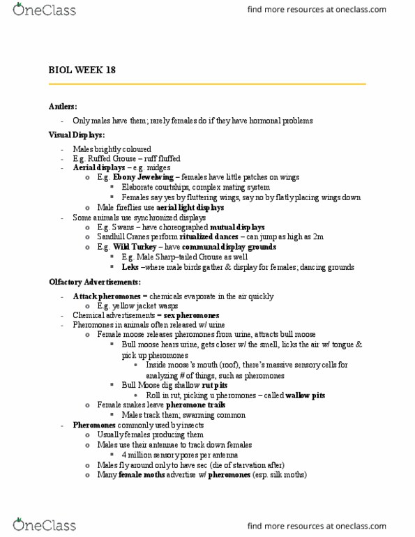 BIOL 1902 Lecture Notes - Lecture 18: Ruffed Grouse, Cedar Waxwing, Yellow Jacket thumbnail
