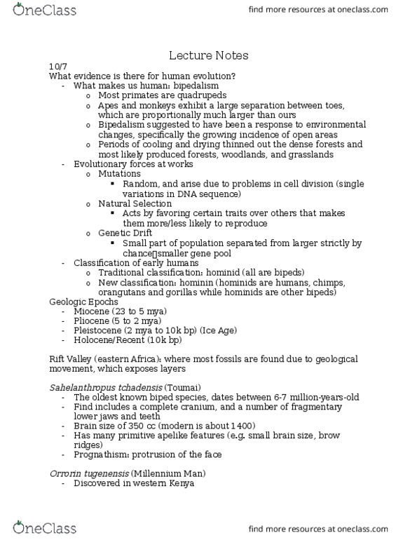 ANTH-0050 Lecture Notes - Lecture 11: Homo Habilis, Rising Star Cave, Arthur Smith Woodward thumbnail