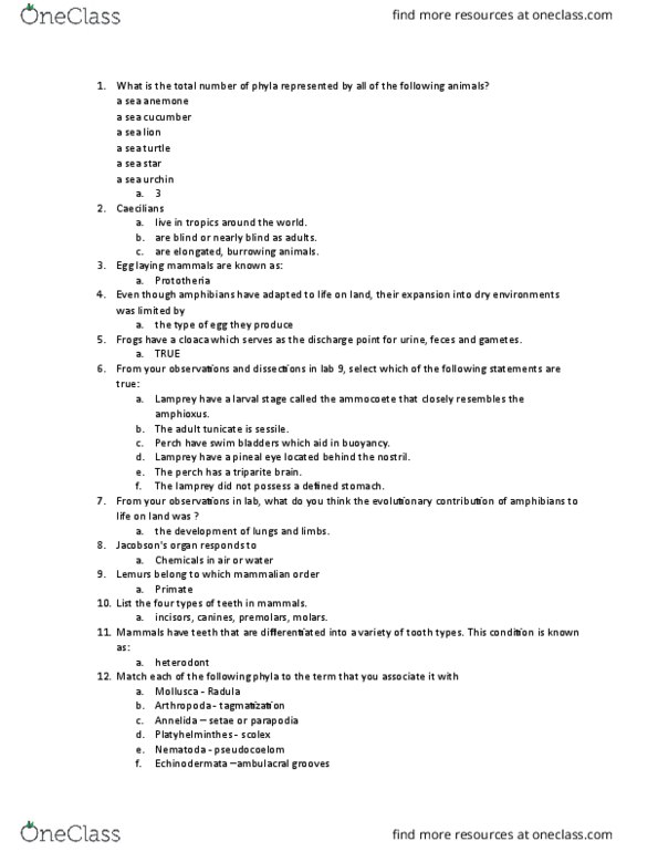 BIOL 2P92 Lecture Notes - Lecture 14: Skull, Xenarthra, Lagomorpha thumbnail