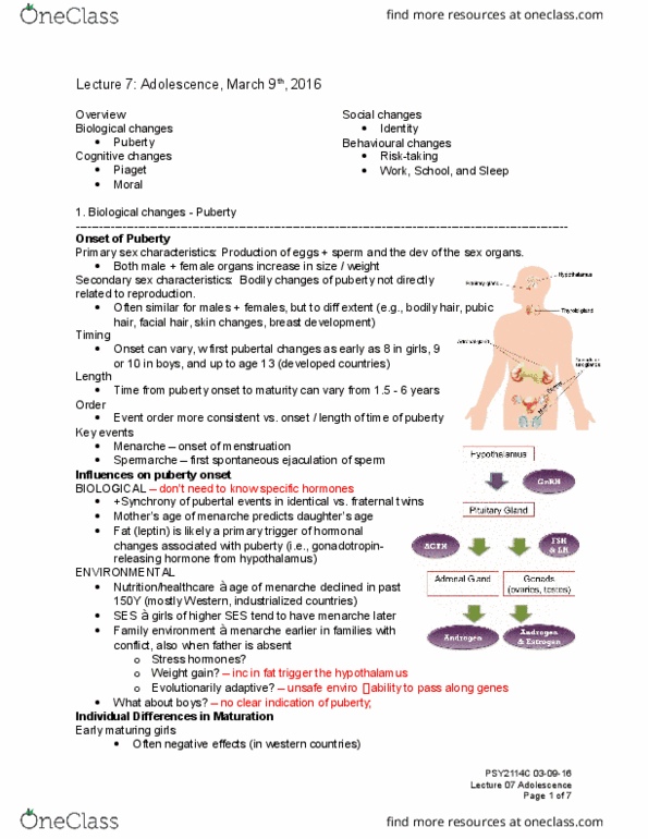 PSY 2114 Lecture Notes - Lecture 7: Secondary Sex Characteristic, Pubic Hair, Moral Reasoning thumbnail