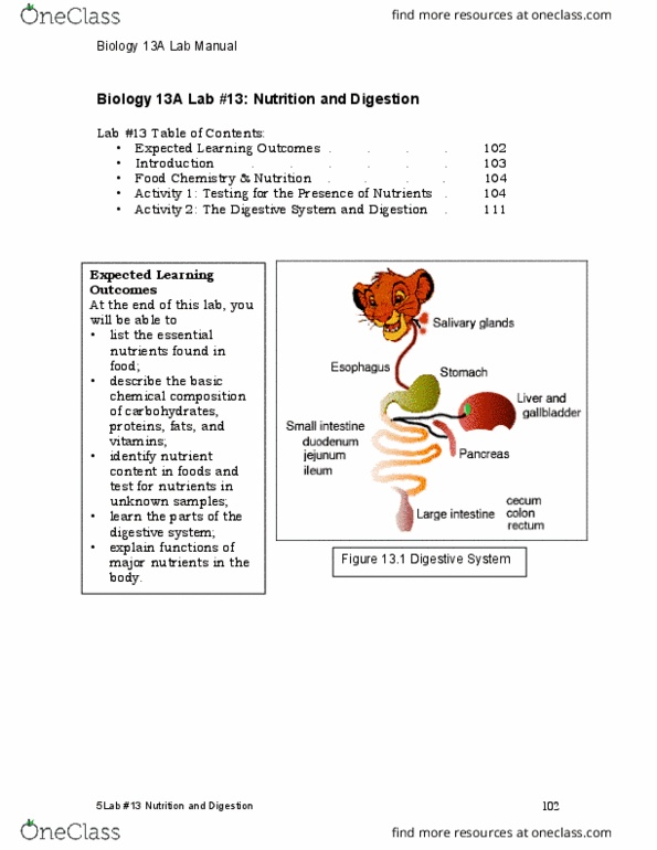 BIOL 1320 Chapter Notes - Chapter 2: Food, Glorious Food, Manual Testing, Lab Partners thumbnail