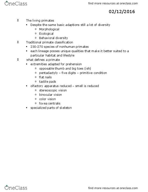 ANTH 1001 Lecture Notes - Lecture 2: Ring-Tailed Lemur, Prehensile Tail, Slow Loris thumbnail