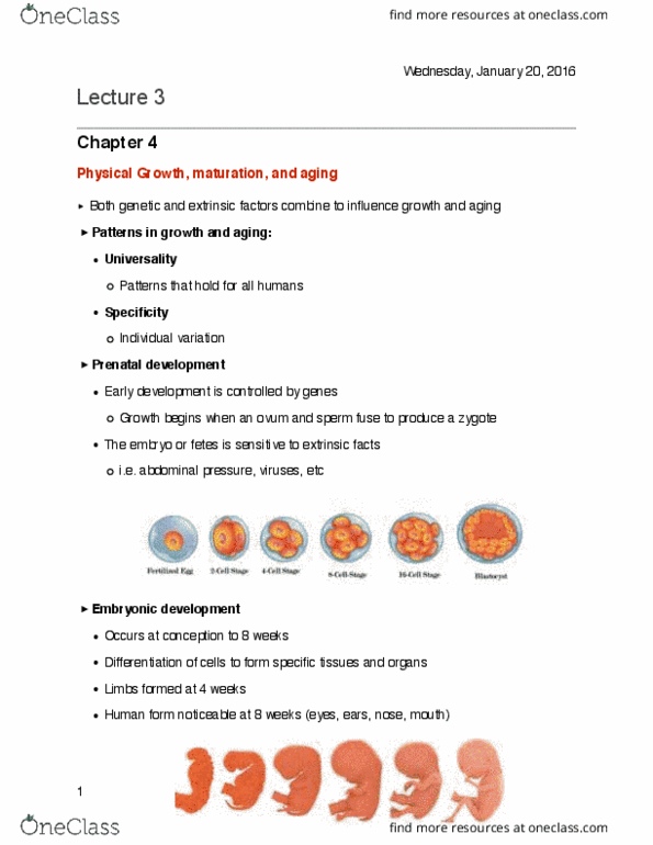 Kinesiology 3347A/B Lecture 3: Lecture 3 thumbnail