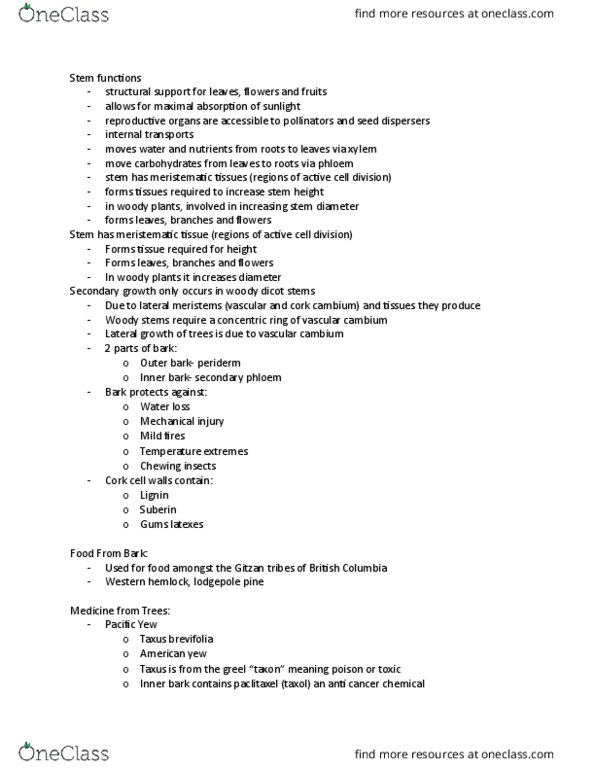 BOT 1200 Lecture Notes - Lecture 5: Cork Cambium, Vascular Cambium, Taxus Brevifolia thumbnail