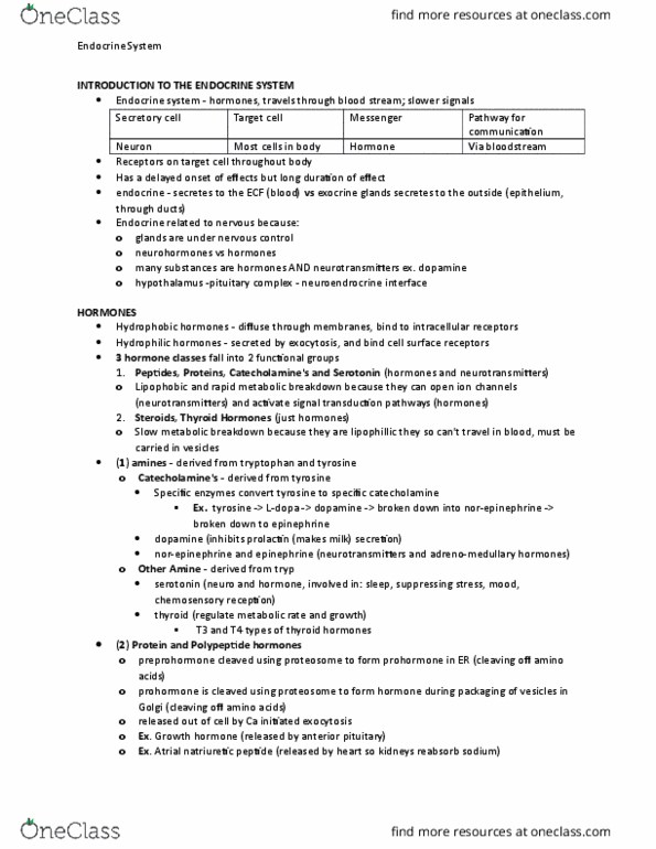 BIOLOGY 2A03 Lecture Notes - Lecture 6: Posterior Pituitary, Thyroid, Natriuretic Peptide thumbnail