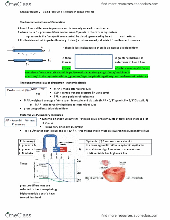 BIOLOGY 2A03 Lecture Notes - Lecture 38: Vascular Resistance, Pulmonary Circulation, Central Venous Pressure thumbnail