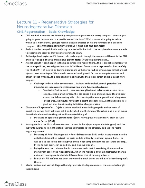 LMP410H1 Lecture Notes - Lecture 11: Rostral Migratory Stream, Dentate Gyrus, Bromodeoxyuridine thumbnail