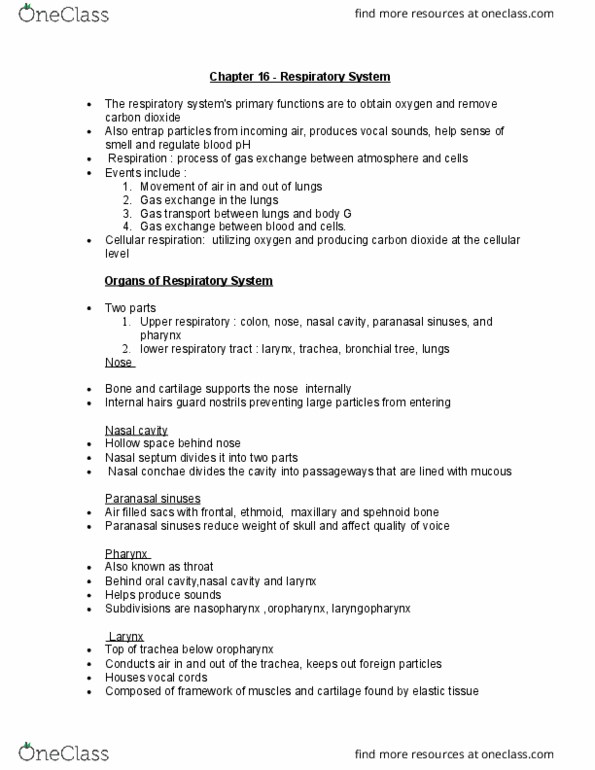 SCIE 22273 Chapter Notes - Chapter 16: Paranasal Sinuses, Nasal Cavity, Nasal Septum thumbnail