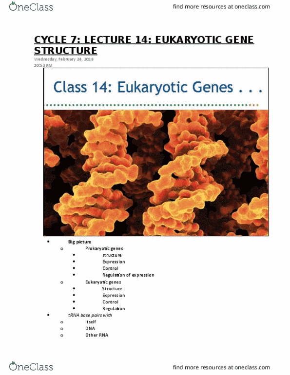 Biology 1002B Lecture Notes - Lecture 14: Helix-Turn-Helix, Tata-Binding Protein, Leucine Zipper thumbnail