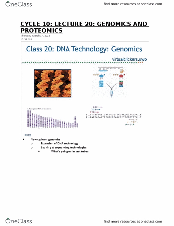 Biology 1002B Lecture 20: LECTURE 20 - GENOMICS AND PROTEOMICS thumbnail