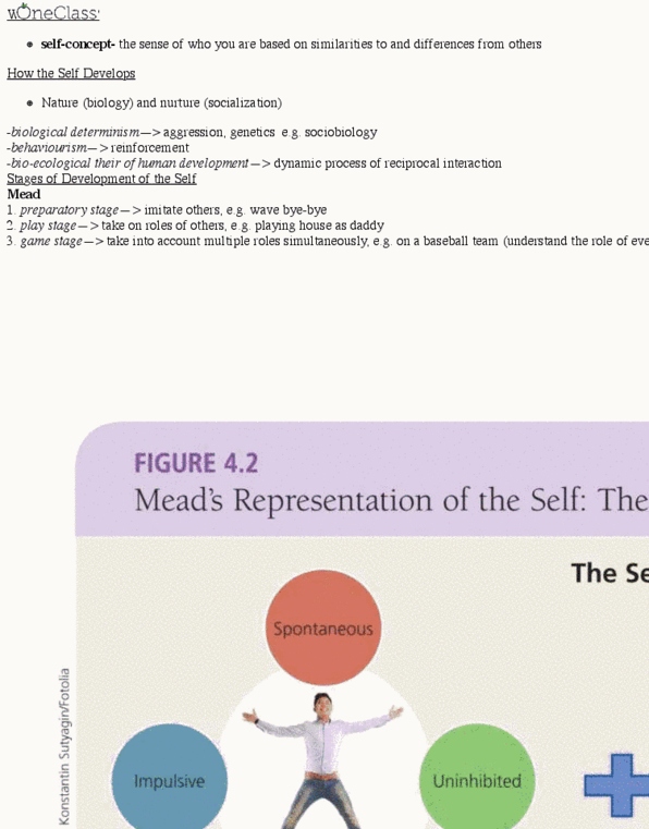 Sociology 1025A/B Lecture Notes - Lecture 4: Total Institution, Mcdonaldization, Role Theory thumbnail