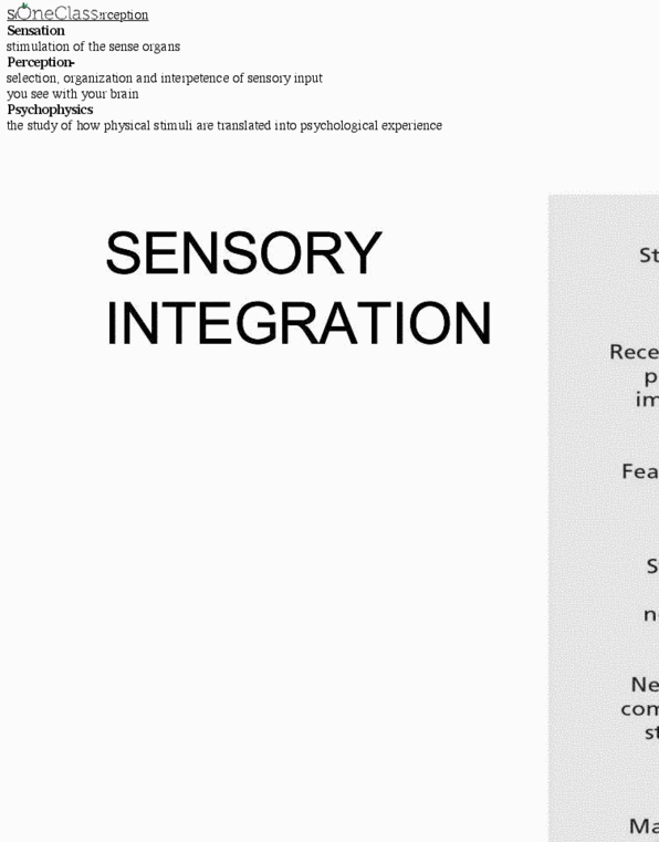 Psychology 1000 Lecture Notes - Lecture 5: Thalamus, Habituation, Endorphins thumbnail