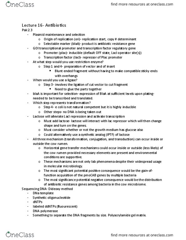 BSCI 223 Lecture Notes - Lecture 17: Polyacrylamide Gel Electrophoresis, Lac Repressor, Horizontal Gene Transfer thumbnail