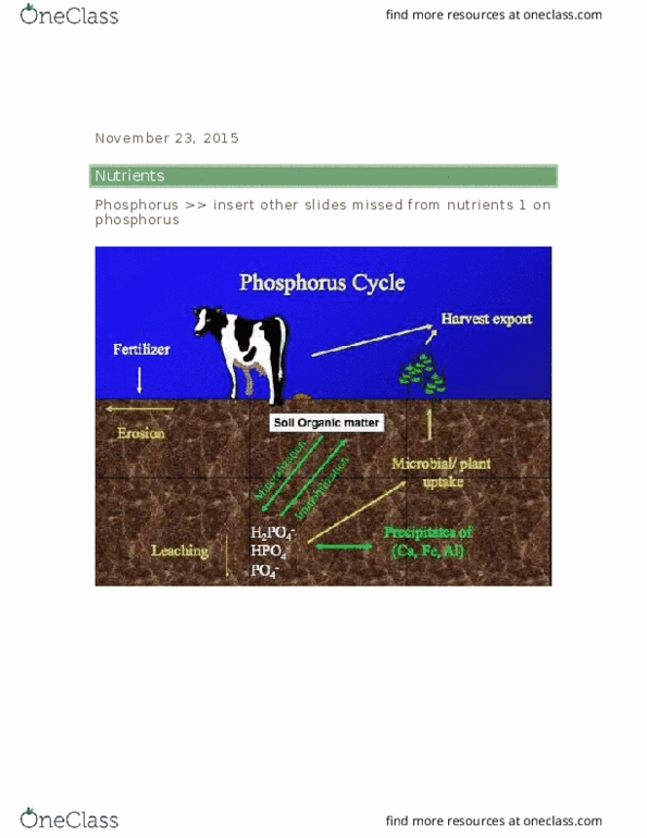 ENVS 2060 Lecture Notes - Lecture 25: Potassium Nitrate, Potassium Chloride, Cash Crop thumbnail