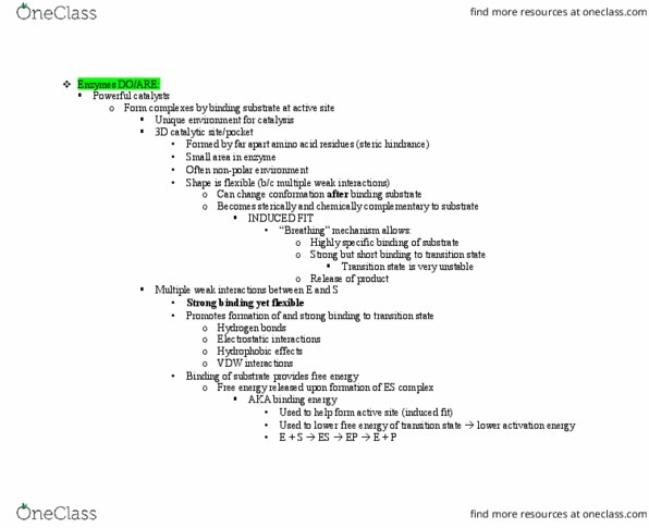 BISC 330L Lecture 2: ENZYMES FULL OUTLINE thumbnail