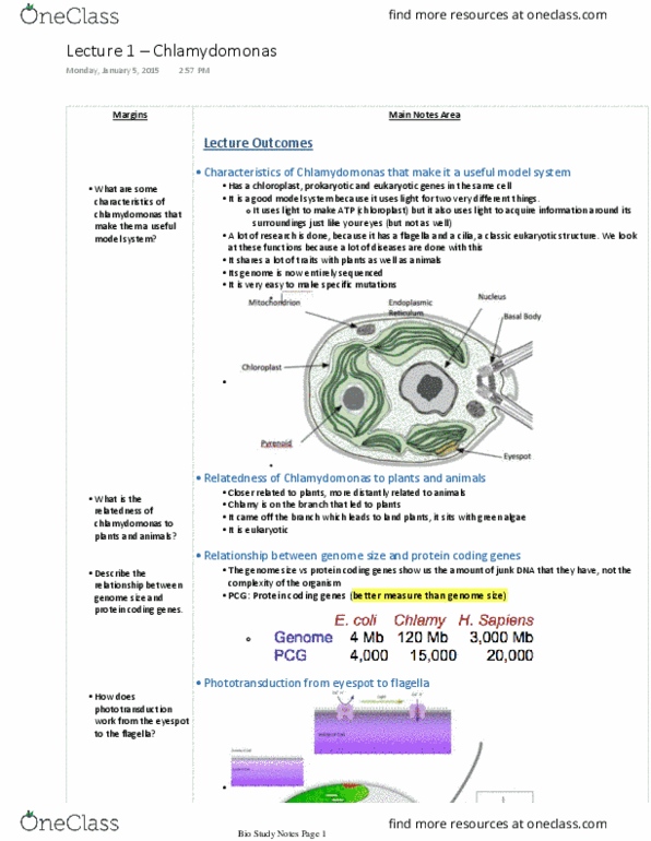 Biology 1002B Lecture Notes - Lecture 1: Visual Phototransduction, Chloroplast, Prokaryote thumbnail