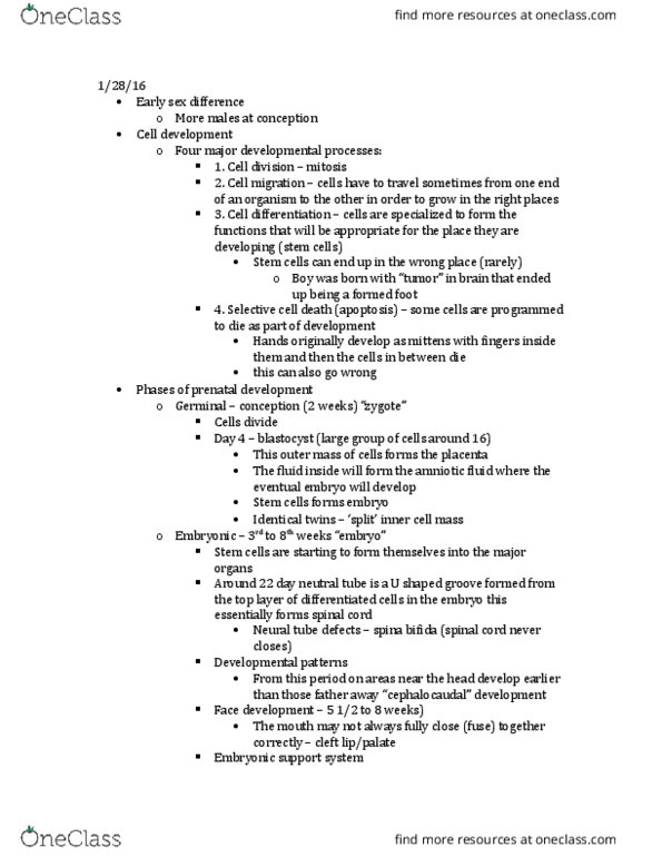 PSYCH 350 Lecture Notes - Lecture 3: Neural Tube Defect, Spina Bifida, Umbilical Cord thumbnail