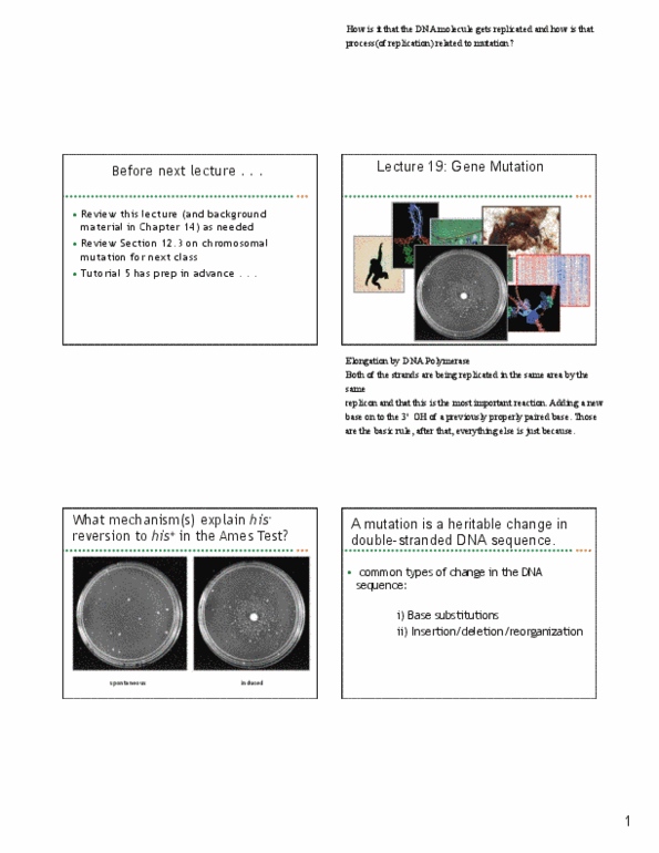 Biology 1002B Lecture Notes - Nonsense Mutation, Indel, Reading Frame thumbnail