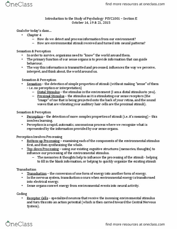 PSYC 1001 Lecture Notes - Lecture 5: Detection Theory, Receiver Operating Characteristic, Response Bias thumbnail