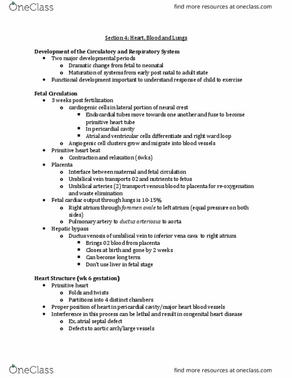 KINESIOL 2F03 Lecture Notes - Lecture 4: Ductus Arteriosus, Vascular Resistance, Atrial Septal Defect thumbnail