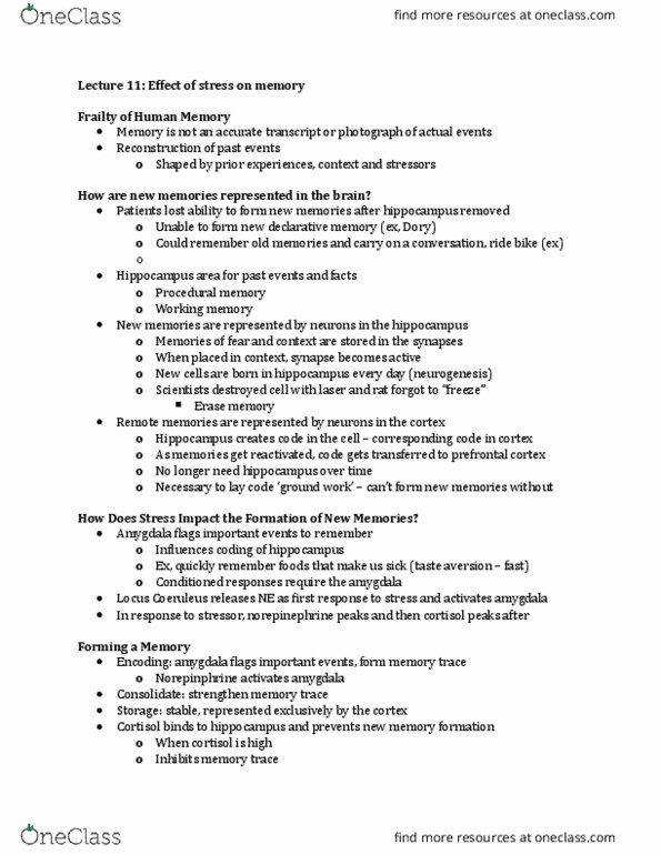 KINESIOL 2G03 Lecture Notes - Lecture 11: Prefrontal Cortex, Explicit Memory, Procedural Memory thumbnail