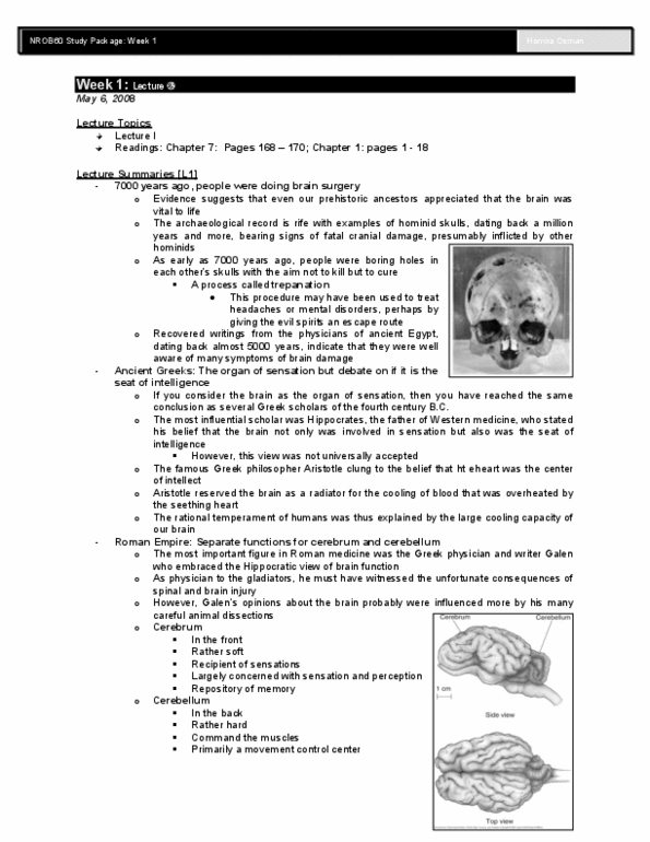 NROD98Y3 Lecture Notes - Anatomical Terms Of Location, Olfactory Bulb, Motor Cortex thumbnail