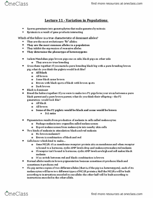 Biology 1001A Lecture Notes - Lecture 11: Indel, New Zealand National Rugby Union Team, Cyclic Adenosine Monophosphate thumbnail