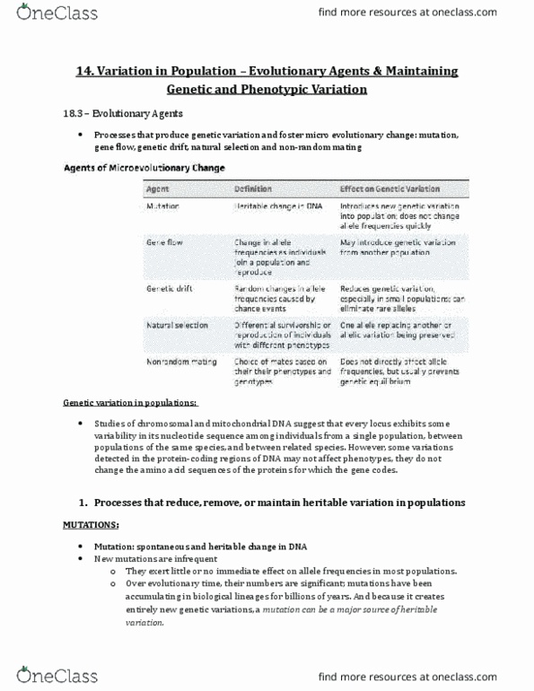 Biology 1001A Lecture Notes - Lecture 14: Heterozygote Advantage, Lethal Allele, Genetic Drift thumbnail