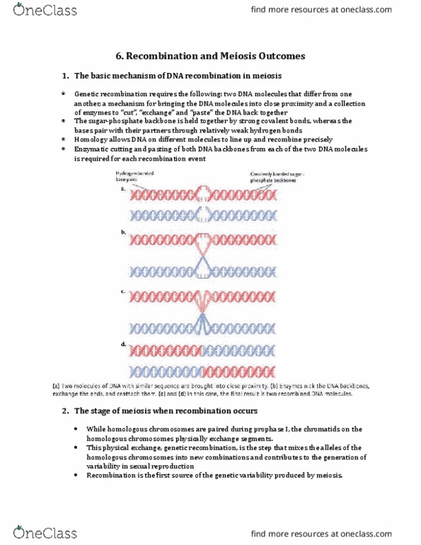 Biology 1001A Lecture Notes - Lecture 6: Copy-Number Variation, Fetus, Metaphase thumbnail