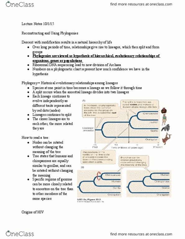 CAS BI 107 Lecture Notes - Lecture 2: Bushmeat, Maximum Likelihood Estimation, Ribosomal Dna thumbnail