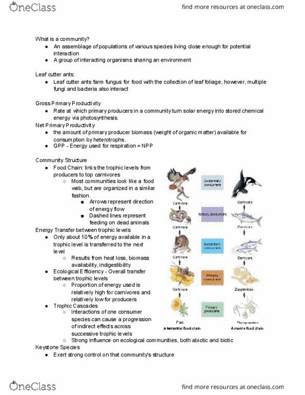 CAS BI 107 Lecture Notes - Lecture 2: Herbivore, Keystone Species, Heterotroph thumbnail